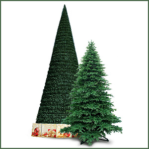 Уличные ели